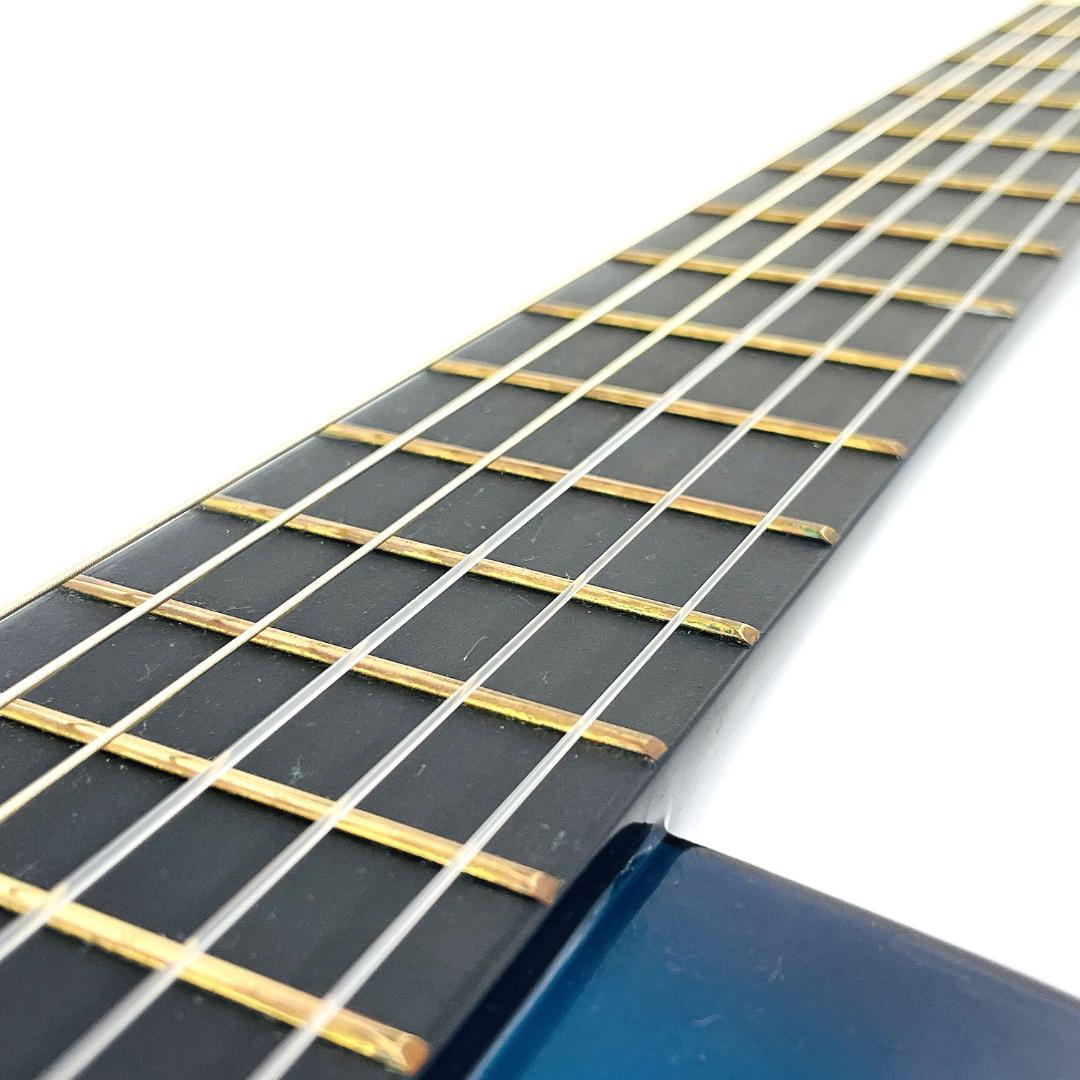 レア Freedom MAG945/BLS アコースティックギター【整備品】