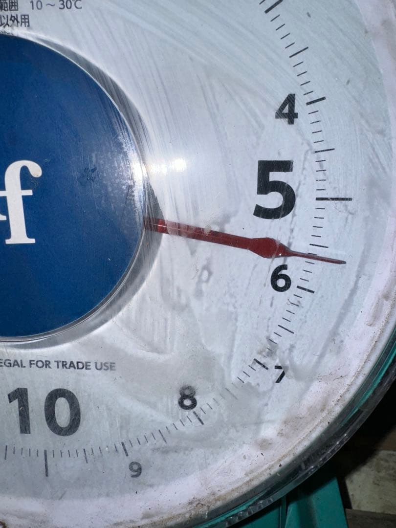 山梨県産ぶどう⭐️シャインマスカット⭐️家庭用10房入り箱込み約5.6キロ