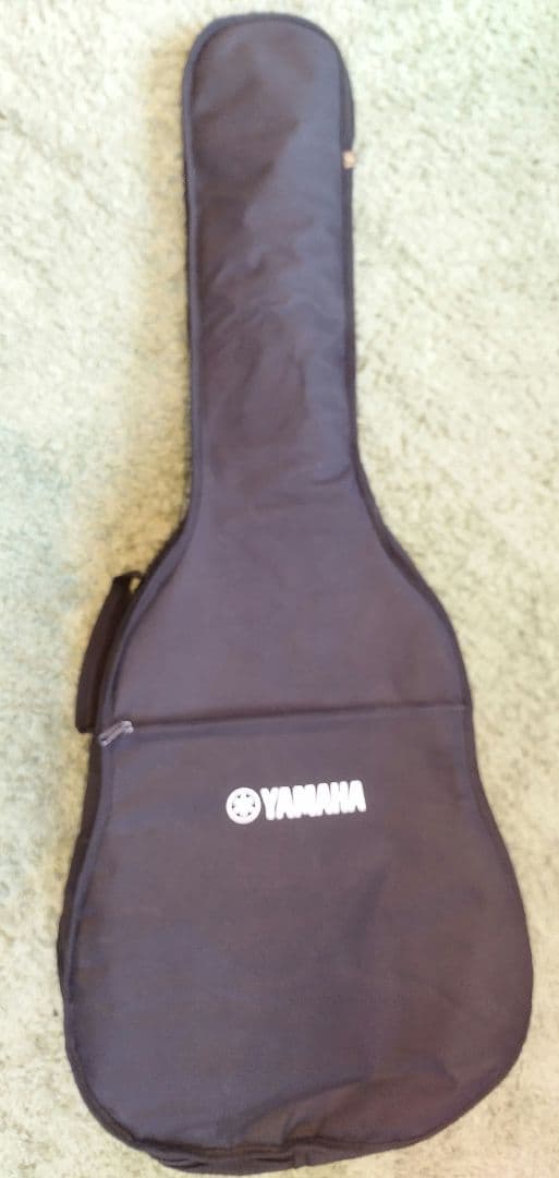 軽量！Coolz ZST-M1R フジゲン製 ミディアムスケール ストラトタイプ