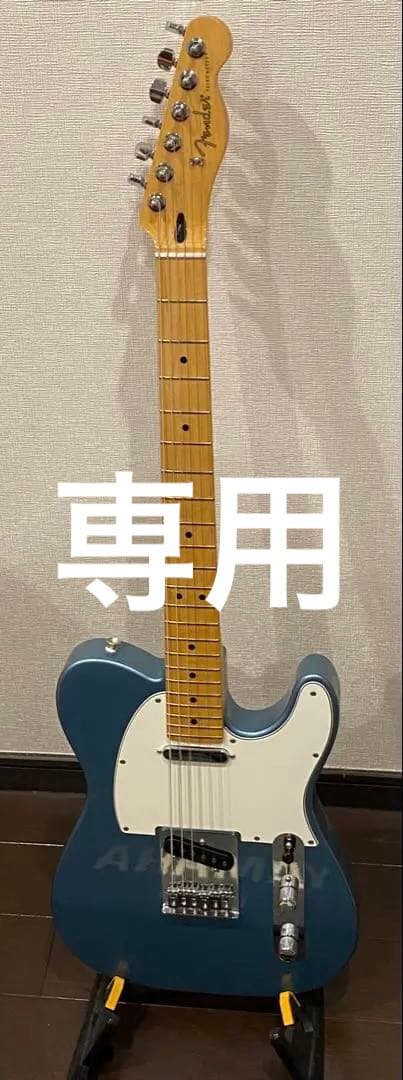 専用　　Fender PlayerシリーズTelecaster タイドプール