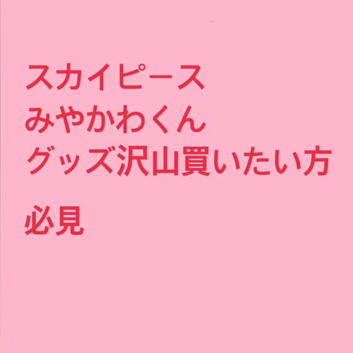 スカイピース みやかわくん グッズ まとめ売り