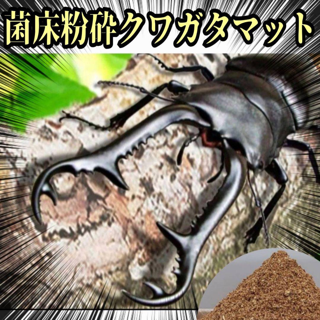 菌床粉砕クワガタマット【30L】ボトルやカップに詰めるだけ！菌糸瓶より経済的！
