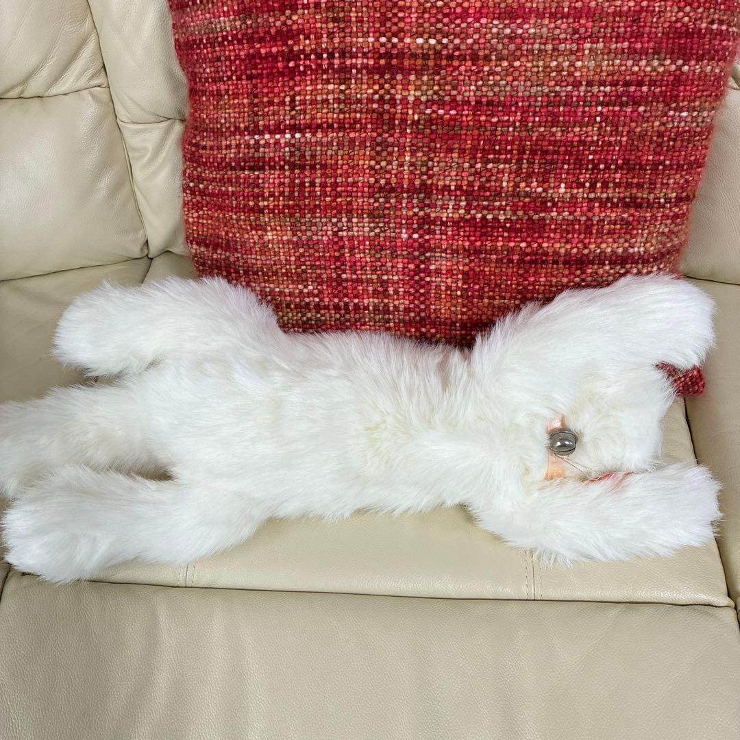 オオイケ　ペルシャネコ　ボビー　M