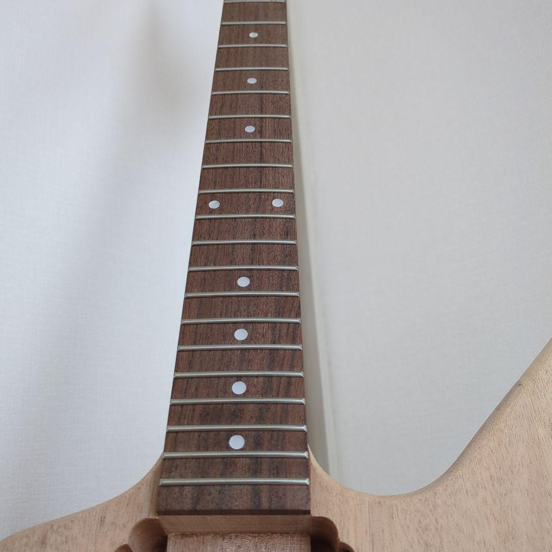 washburn dime333 タイプDIYキット