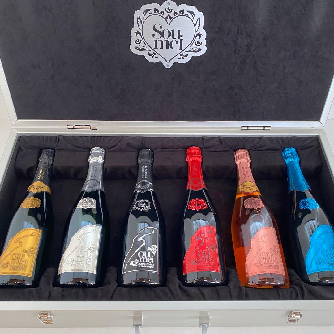 ソウメイ　アタッシュケース　ル　セクストゥール　レッド　ブラック　プラチナ