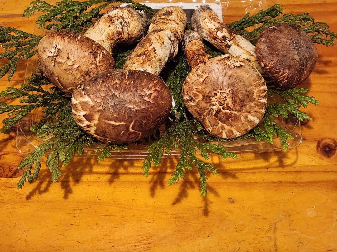 北海道産松茸　288g