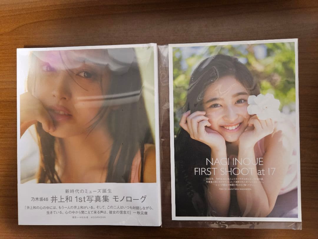 乃木坂46 井上和 写真集特典付き タオル アクリルスタンド 生写真ホルダー