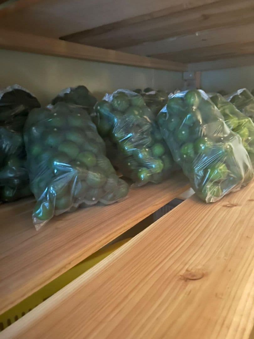 冷蔵すだち 10キロ 秀品