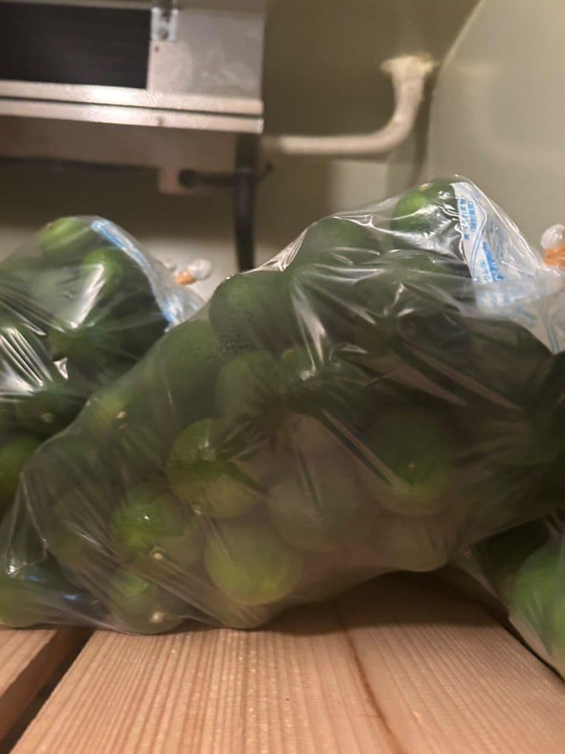 冷蔵すだち 10キロ 秀品