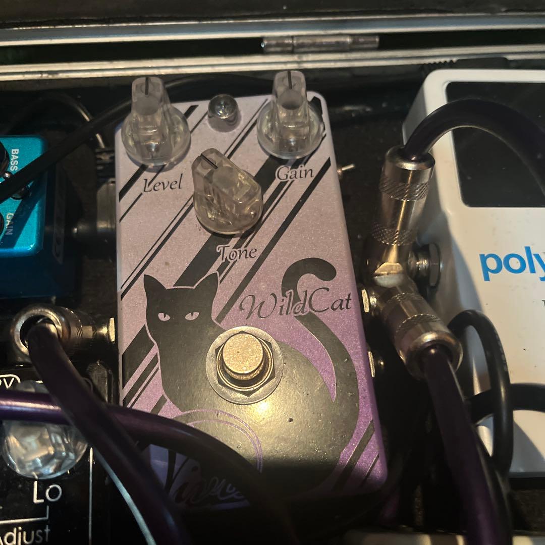 ギター vivie wildcat