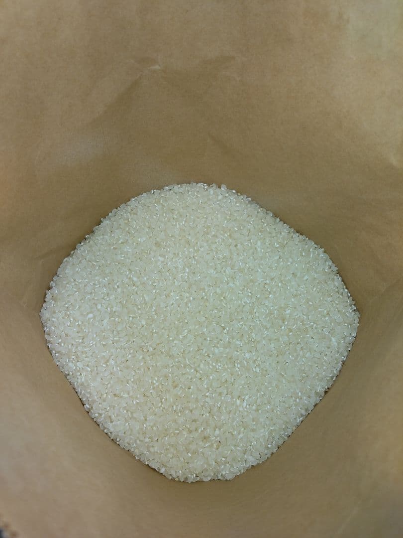 農家直送 コシヒカリ　白米　27Kg