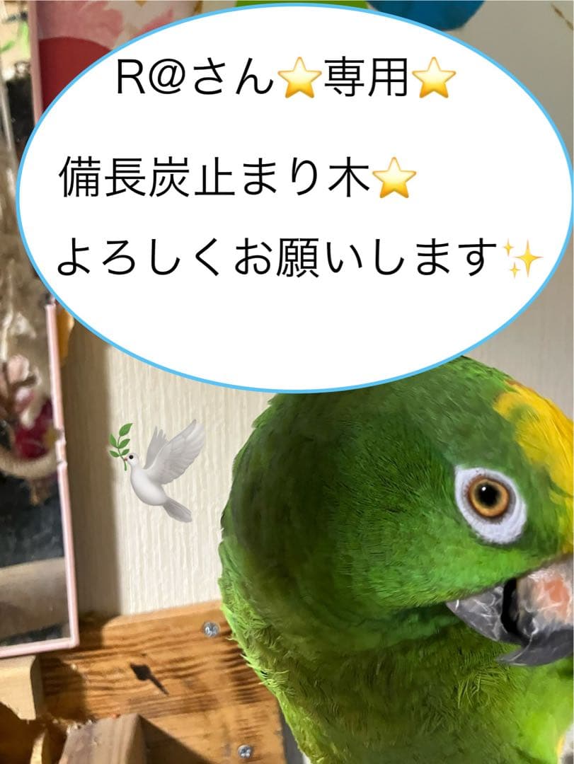 備長炭止まり木⭐️止まり木⭐️パーチ⭐️専用です♪(=´∀｀)人(´∀｀=)⭐️