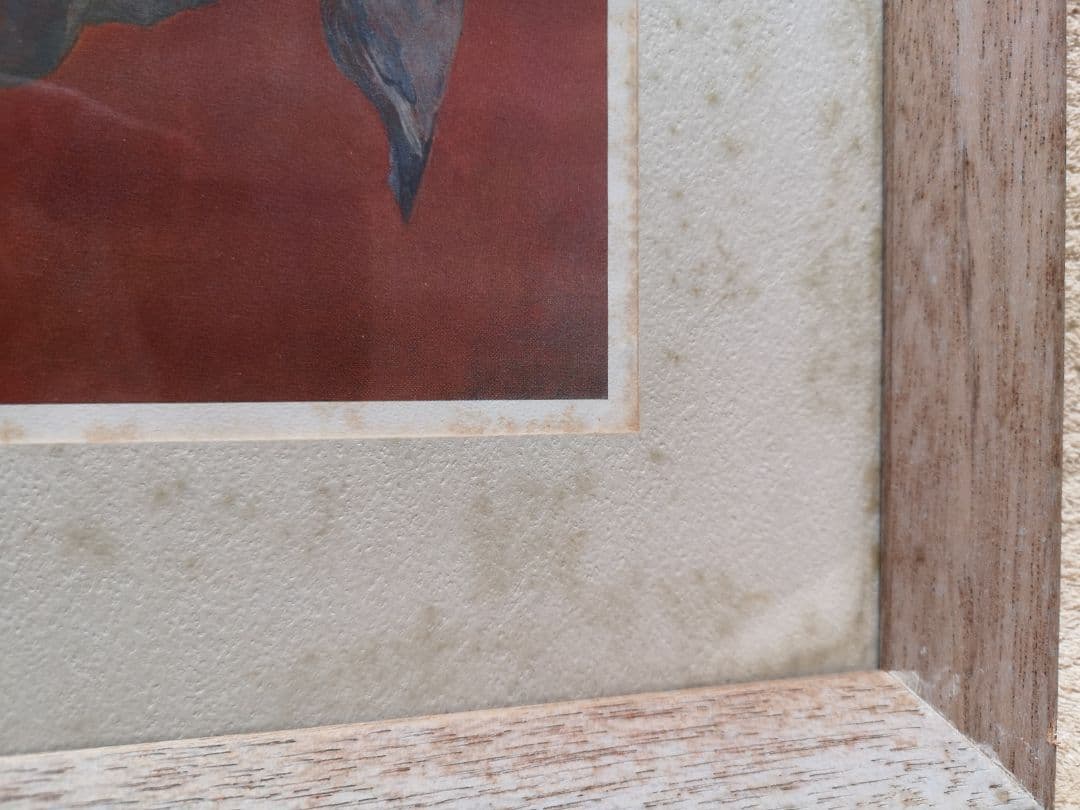 【リトグラフ】アーネスト・R・ノーリング　流木のある太平洋岸北西部の海岸のカモメ