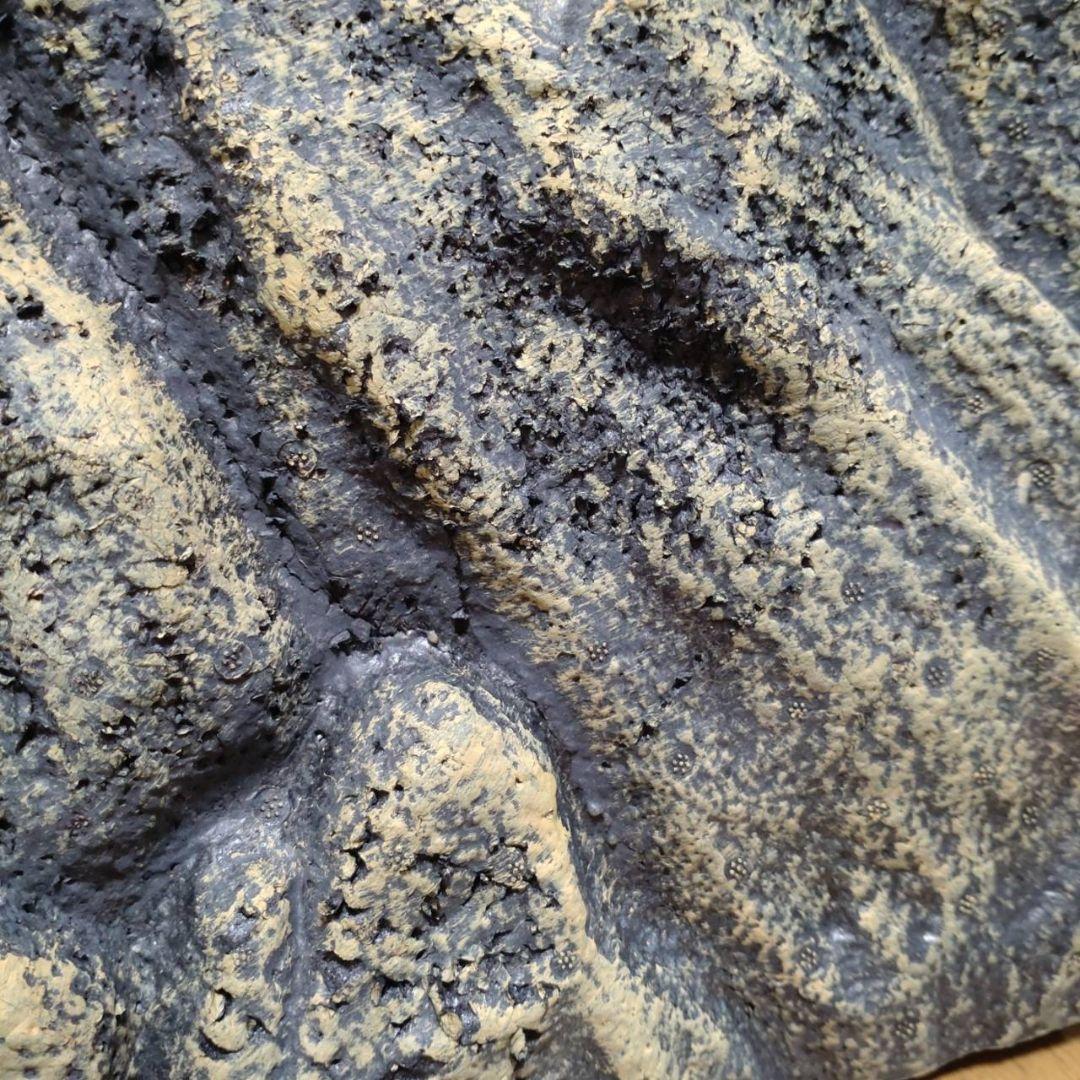 GEX エキゾテラ グラステラリウム 6030 リクガメ ケージ シェルター付き