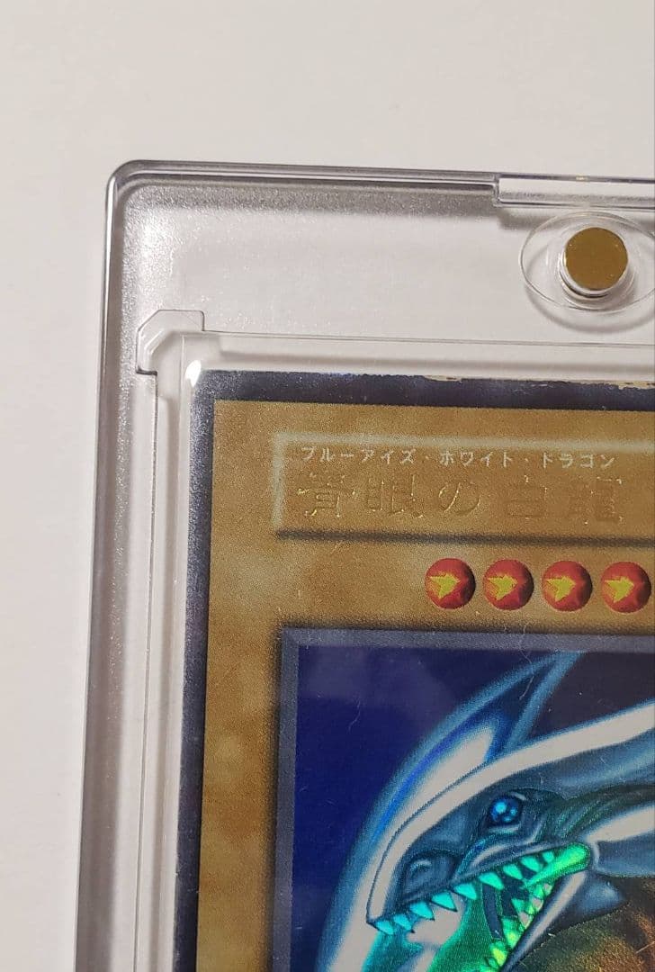 遊戯王　初期　ブルーアイズ