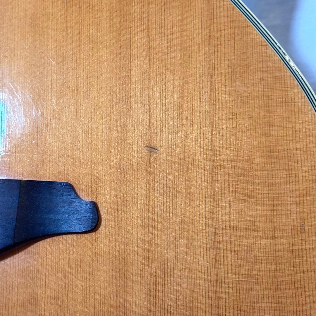 【希少】Aria FEB-02 エレアコベース ELECORD