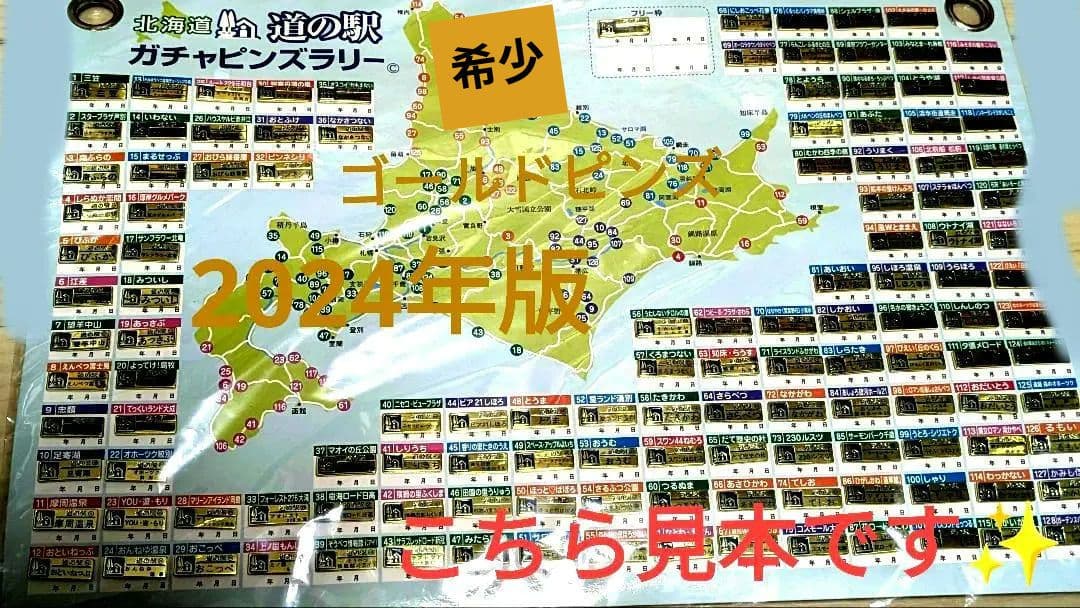 ❴北海道❵道の駅ピンズゴールドピンズ2024年版 ✪99種類✪早い物勝ち✨