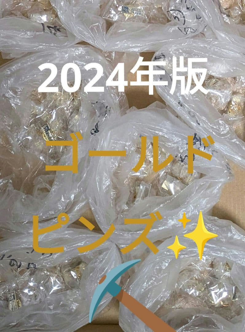 ❴北海道❵道の駅ピンズゴールドピンズ2024年版 ✪99種類✪早い物勝ち✨