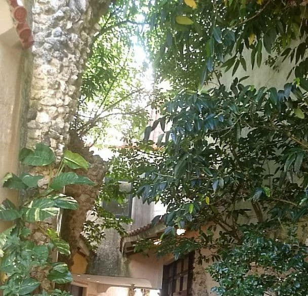 【唐三彩】三彩鍑（ふく・獣足三脚噐)