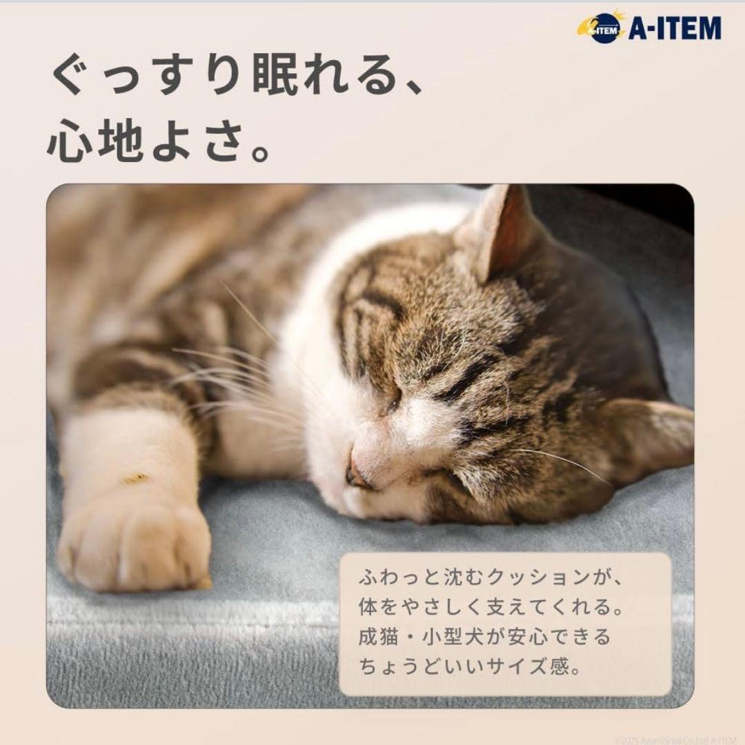 A-ITEM ペットベッド 木製フレーム マット取り外し可(小型用)