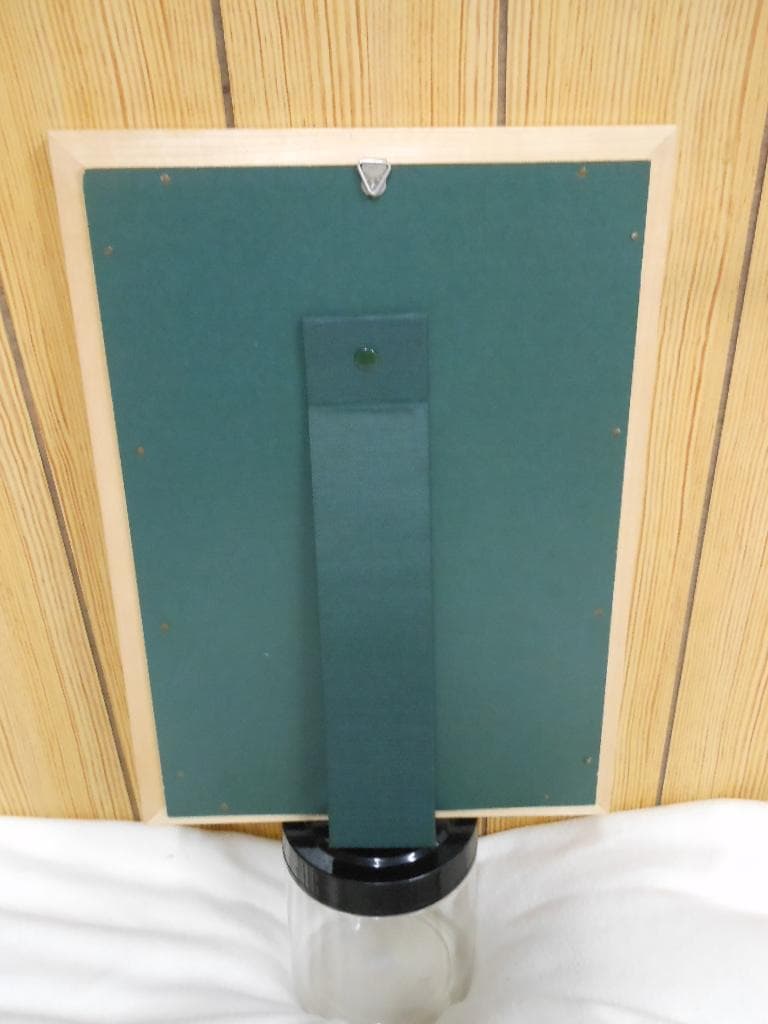 『レターパックプラス　送料無料です』◆大相撲　貴ノ花　グラビア　優勝額