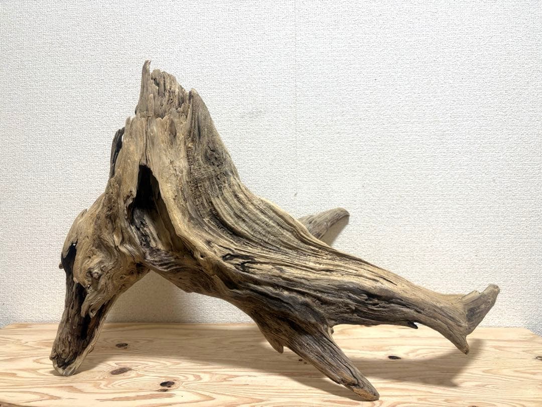 Ｇ87 流木　爬虫類　両生類　シェルター　観葉植物　インテリア　DIY