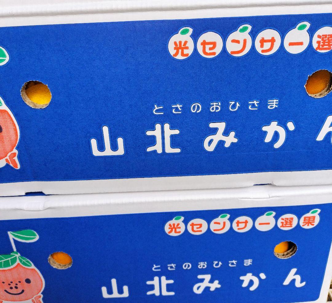 高知産　約１０ｋｇ　露地山北みかん　２Ｓ３Ｓ　秀品　北海道沖縄発送不可