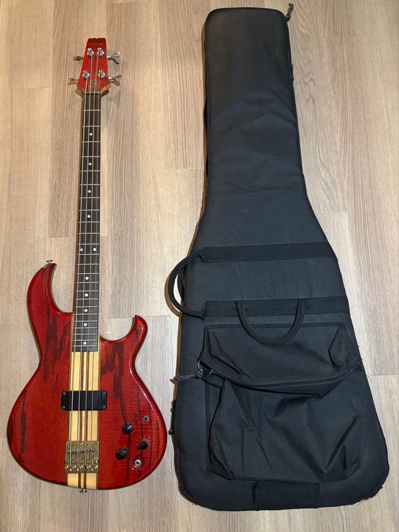 takamatsu様用Aria Pro II SB-1000