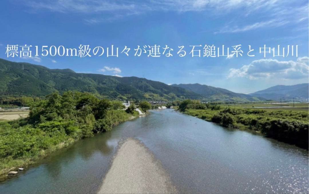 ♠︎リピーター様限定♠︎ 令和7年度新米　愛媛県産にこまる　天日干し米 20kg