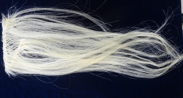 国産獅子舞　総金　九寸　一式セット（お祭り）