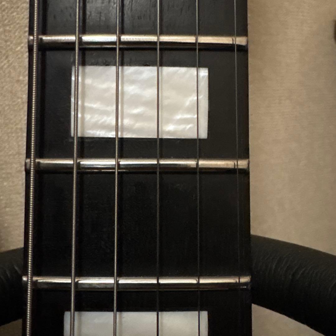 EVH Wolfgang Special /ベアナックルピックアップ/ミュール