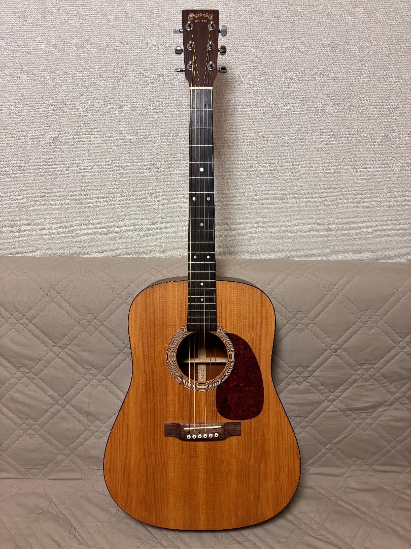 ギター Martin D-1