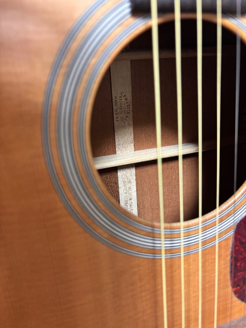 ギター Martin D-1