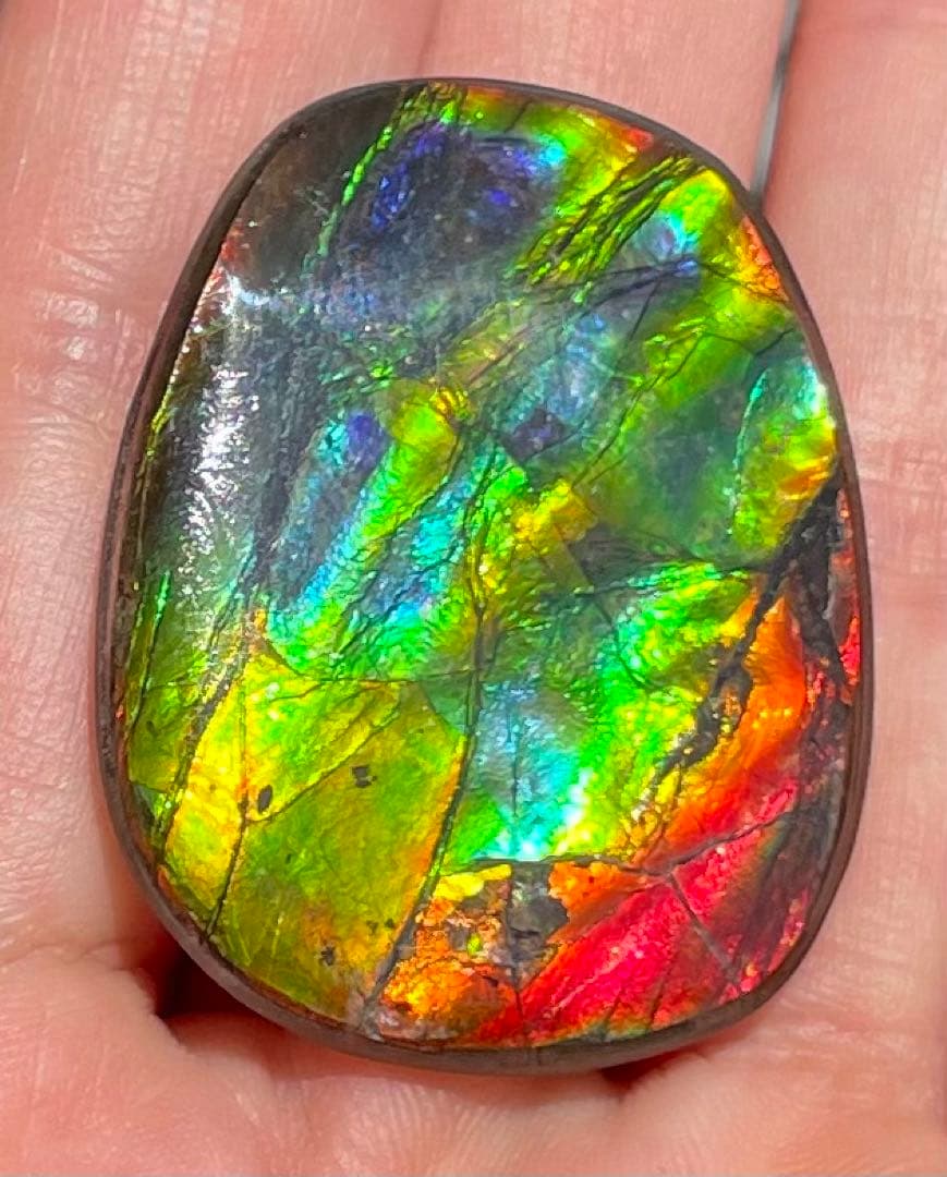 【期間限定セール】アンモライト レインボーカラー ルースストーン