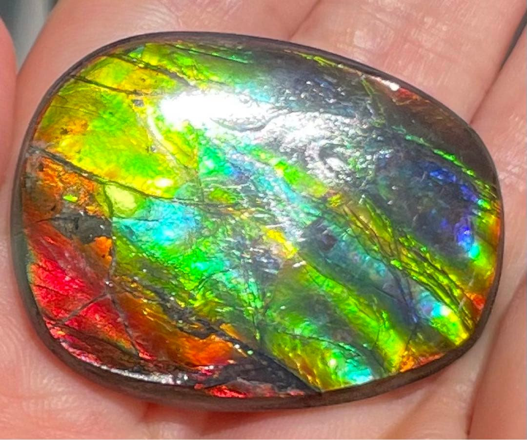 【期間限定セール】アンモライト レインボーカラー ルースストーン