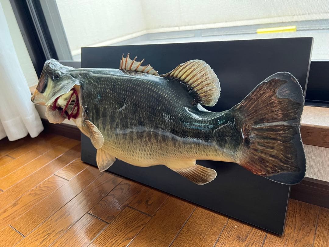 ブラックバス剥製　インテリア壁掛けタイプ