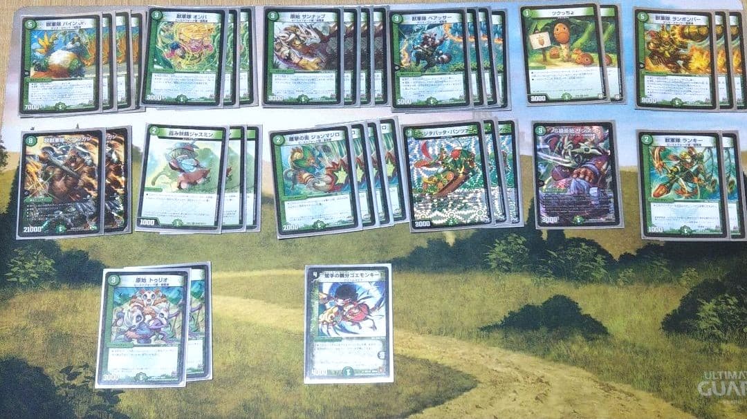 デュエルマスターズ  デュエマ  引退品