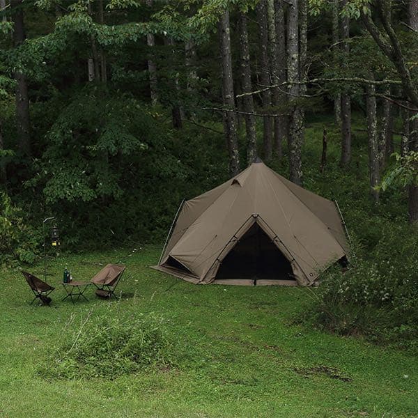 新品、未開封！2022ゼインアーツゼクーM