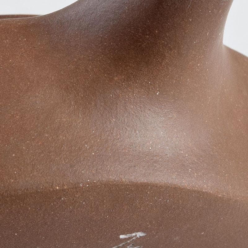 中国　紫砂　朱泥　急須　茶壷　在銘　C　9270