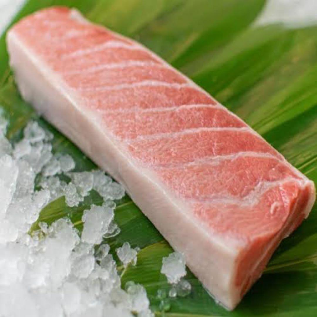 限定販売！極上本マグロ大トロ5キロ送料込みで5万円