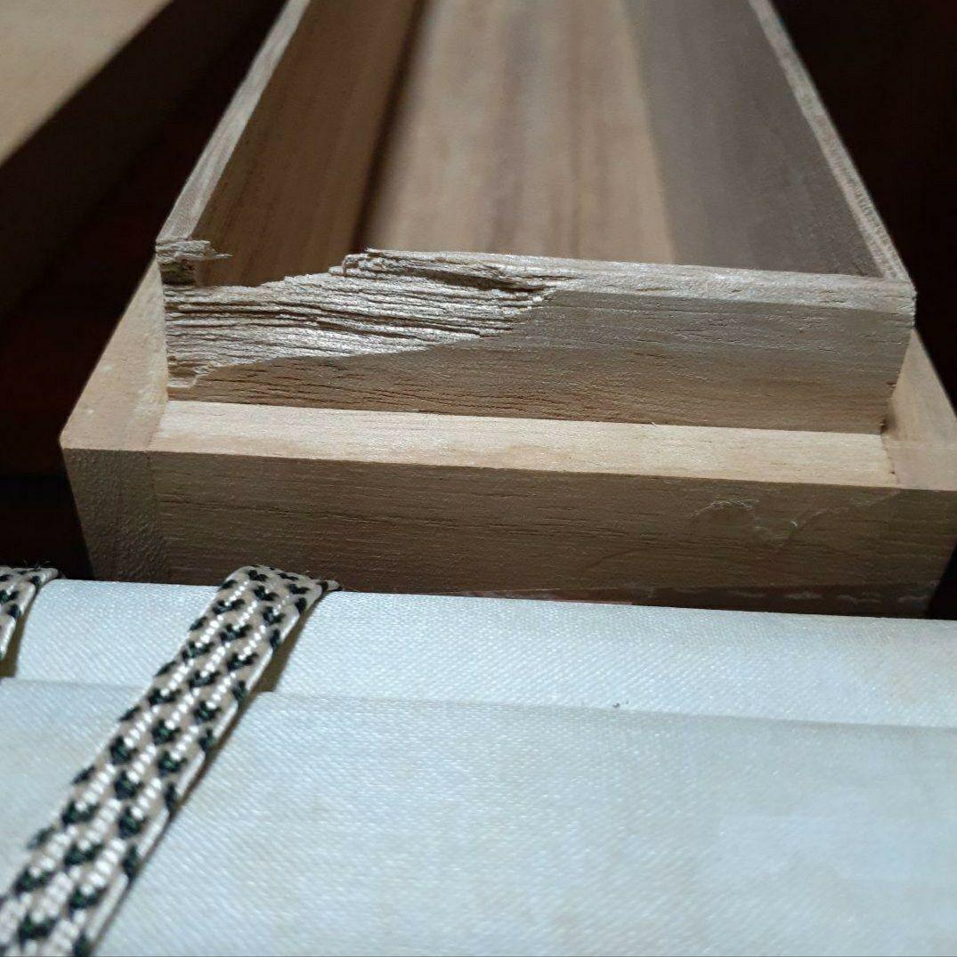 掛け軸/梅雀図/結城素明？