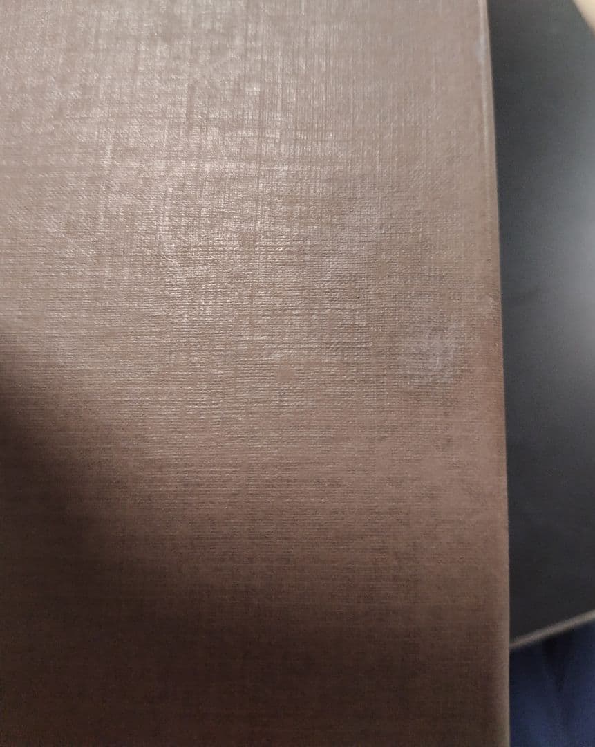 【新品未使用】LOUIS VUITTON ルイヴィトン トランプ　ブルー