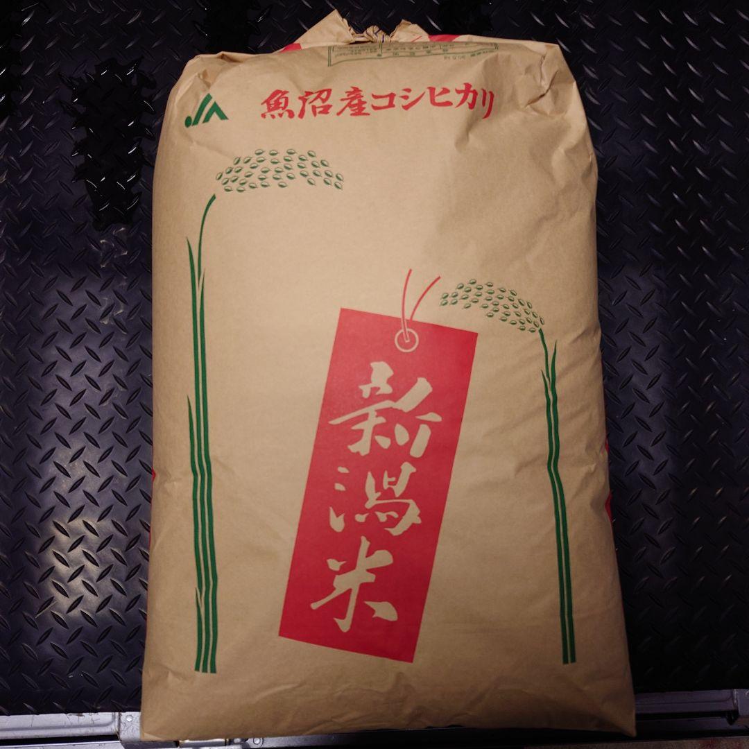 【南魚沼市】令和7年度 魚沼産コシヒカリ 精米 約10kg