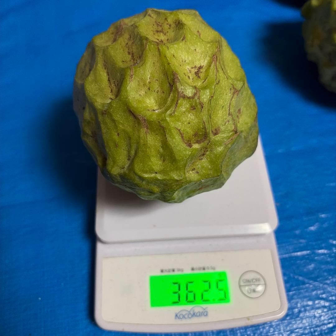 箱番号１　A級アテモヤ2199g 8136円