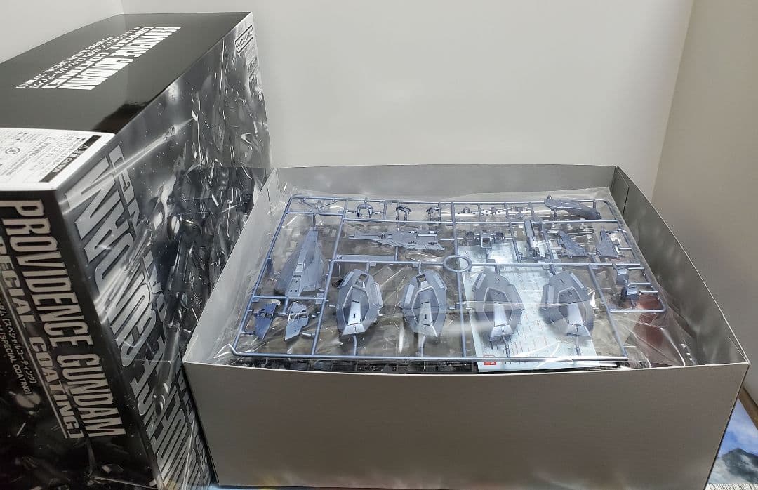 1/25日まで出品　プレバン限定　1/100 MG プロヴィデンスガンダムsp