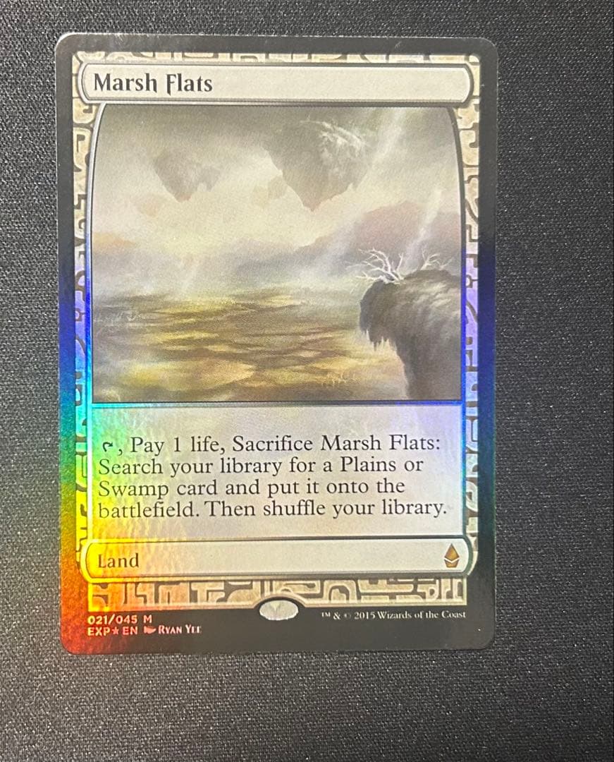 【2枚セット】湿地の干潟_FOIL_EXP