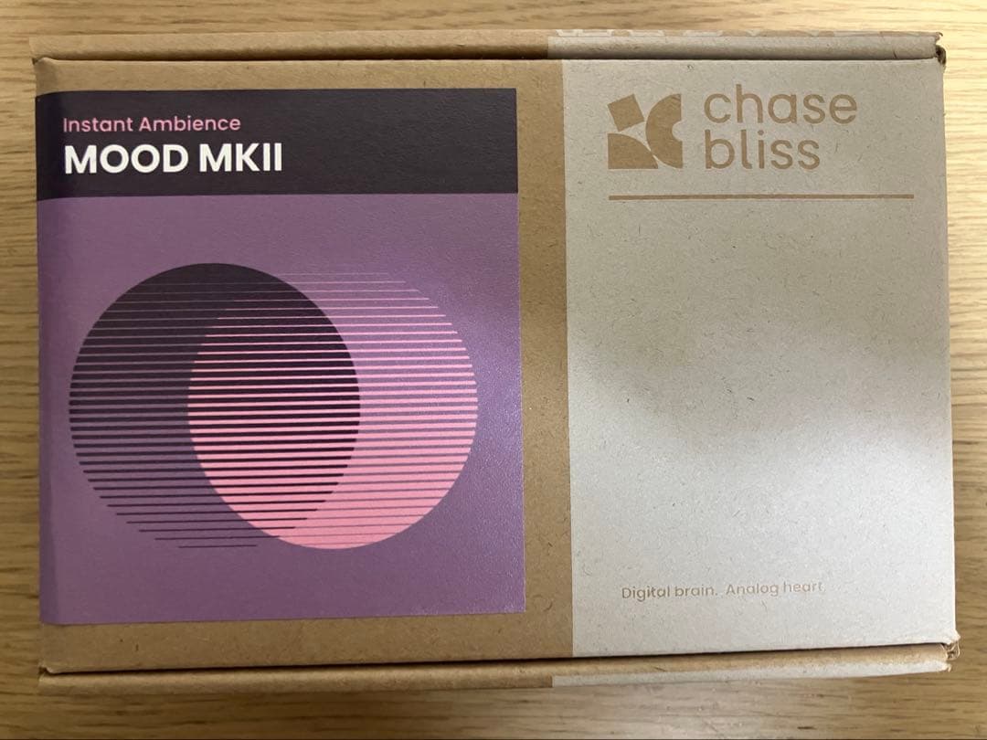 ギター Chase Bilss Mood MKII