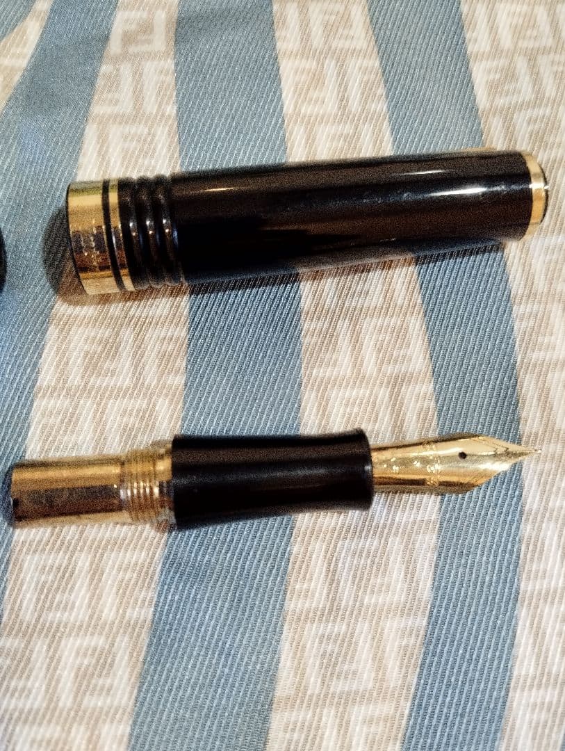 PLATINUM プラチナ万年筆 ♯3776 ギャザード 14K　中