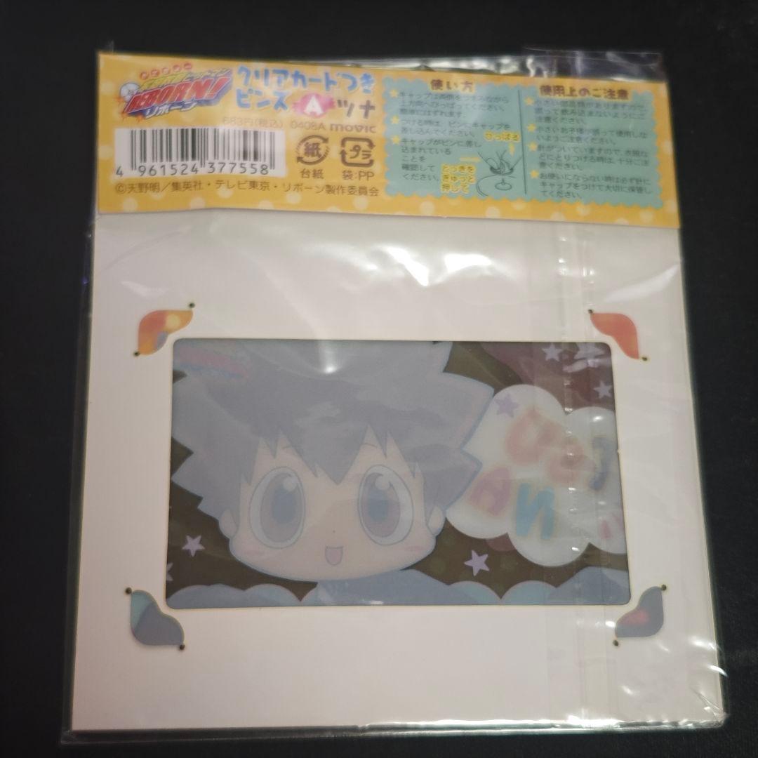 家庭教師ヒットマンREBORN クリアカードつきピンズ 沢田綱吉