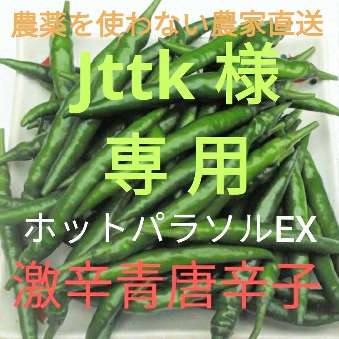 激辛青唐辛子❗ 10kg 農薬を使わない農家直送